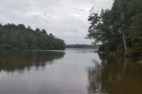 Roland Cooper State Park