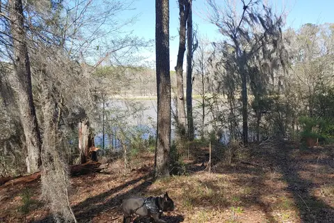 Roland Cooper State Park