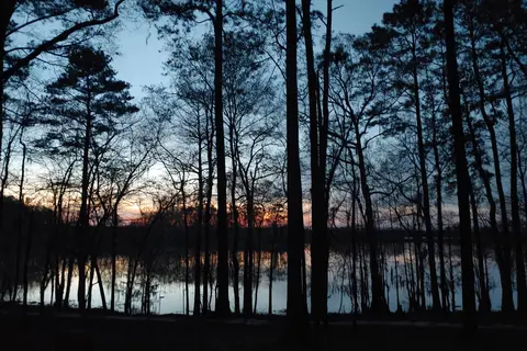 Roland Cooper State Park