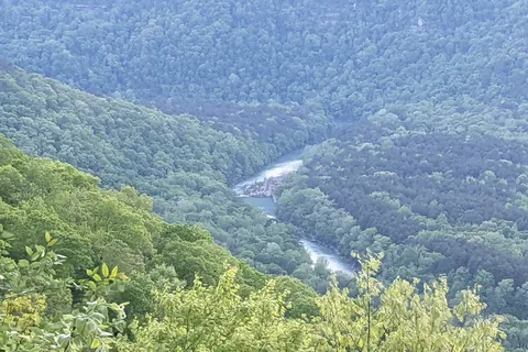 Mack's Pines