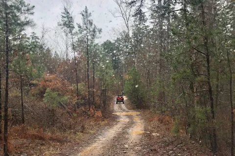 Mack's Pines