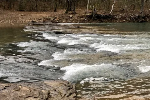 Mack's Pines