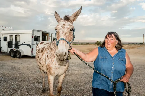 Kiva RV Park and Horse Motel