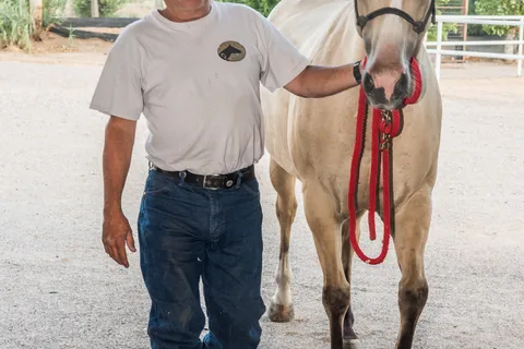 Kiva RV Park and Horse Motel