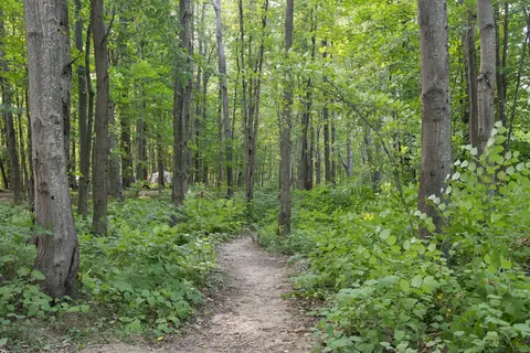 Yogi Bear's Jellystone Park™ Camp-Resort: Glen Ellis
