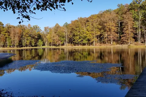 Small Country Campground