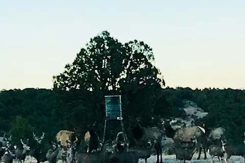 Ruidoso Motorcoach Ranch