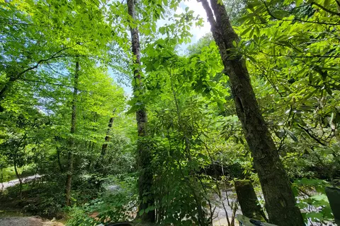 Indian Creek Campground