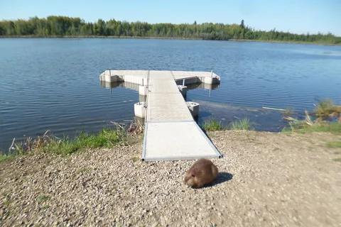 Echo Lake Family Campground