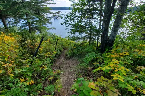 Wellman Lake - Duck Mountain Provincial Park