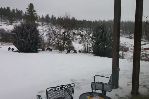 Beaver Lodge Resort and Campground
