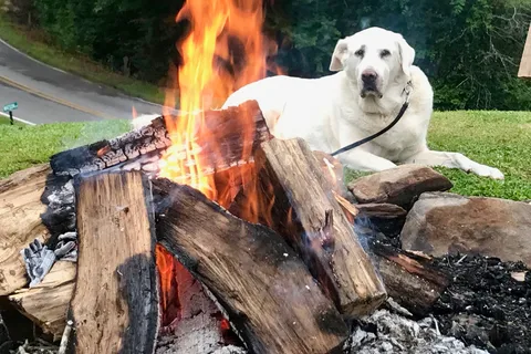 Mountain View Campground