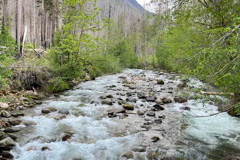Newhalem Creek Campground - North Cascades National Park