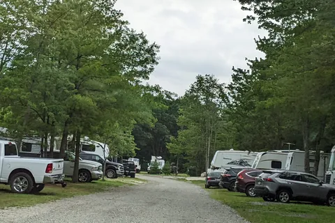 Black Bear Campground