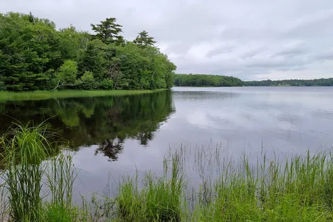 Ellenwood Lake Provincial Park