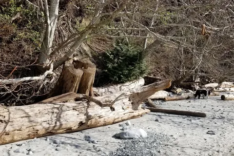 Smelt Bay Provincial Park