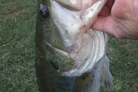 Lake Campalot
