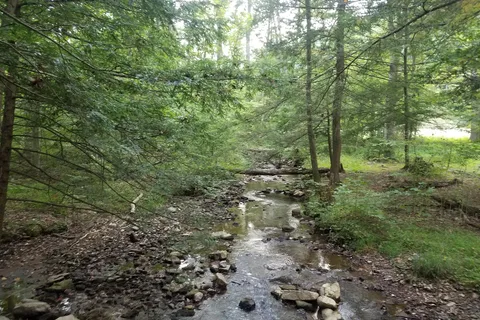 Fowlers Hollow State Park