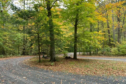 Fowlers Hollow State Park