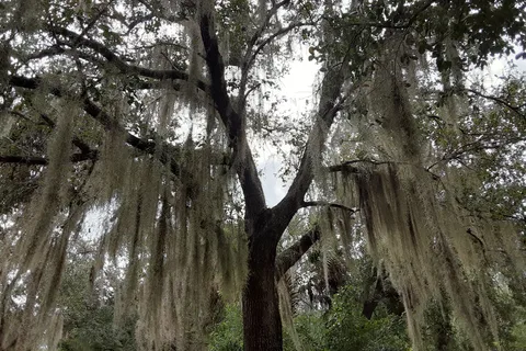 Riverwood Park Campground