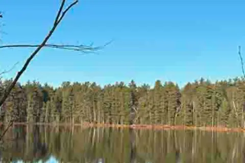 Punch Lake Campground
