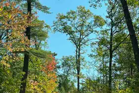 Punch Lake Campground