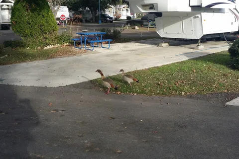 Admiralty RV Resort
