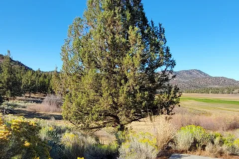 Jasper Point - Prineville Reservoir State Park