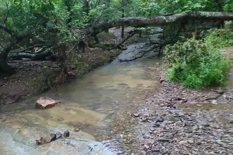 Beavers Bend State Park and Nature Center