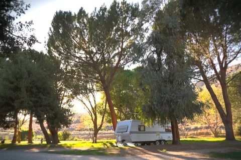 Soledad Canyon RV and Camping Resort
