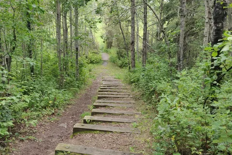 Thunder Lake Provincial Park