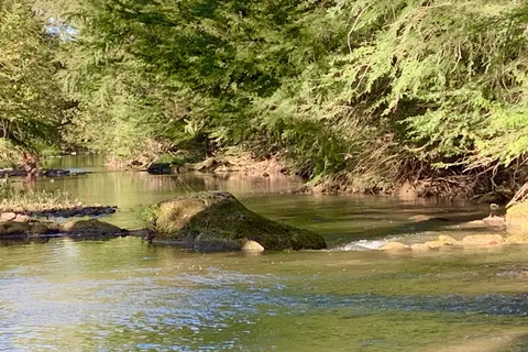 Bandera Pioneer RV River Resort
