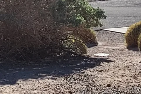 Willow Beach RV and Campground - Lake Mead National Recreational Area