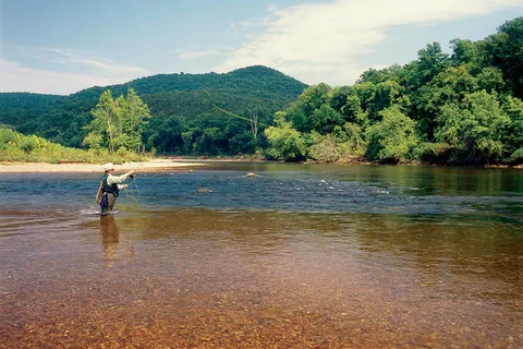 White River Campground and Cabins