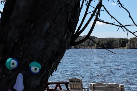 Woolastook Park