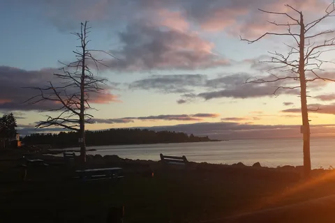 Camping Murraywood