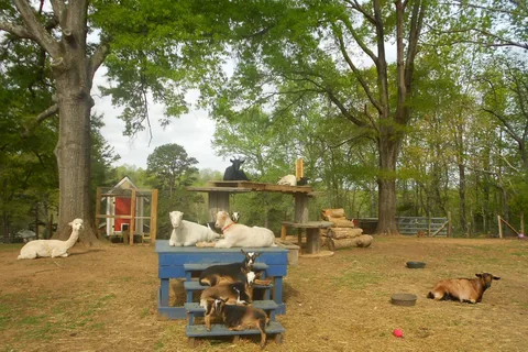 Carolina Rose Campground