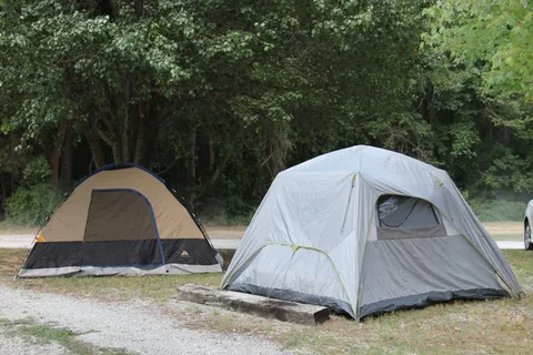 Carolina Rose Campground