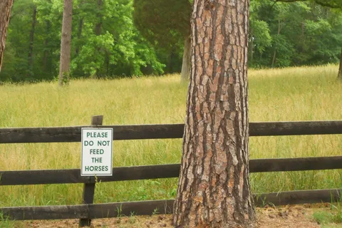 Carolina Rose Campground
