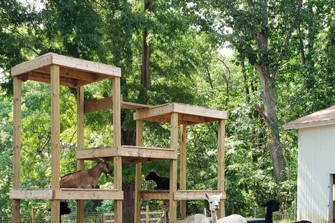 Carolina Rose Campground