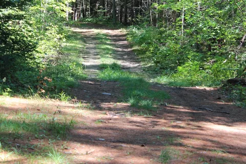 Paul Bunyan Campground