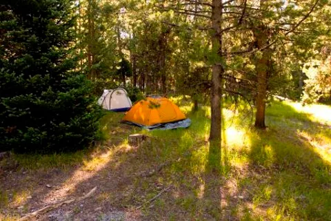 Colter Bay Campground - Grand Teton National Park