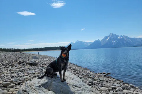Colter Bay Campground - Grand Teton National Park
