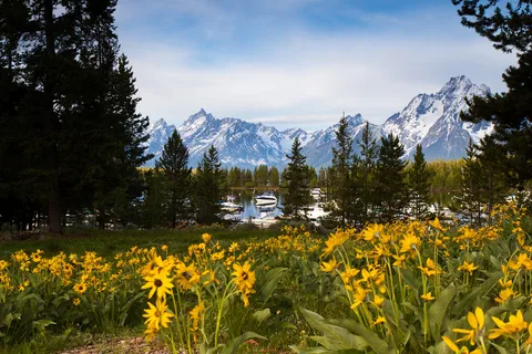 Colter Bay Campground - Grand Teton National Park