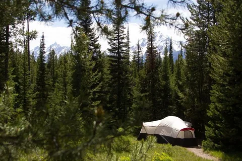 Colter Bay Campground - Grand Teton National Park