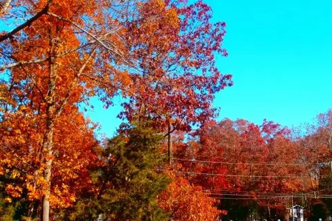Holly Shores Campground