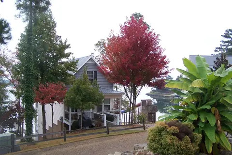 Chesnut Bay Resort
