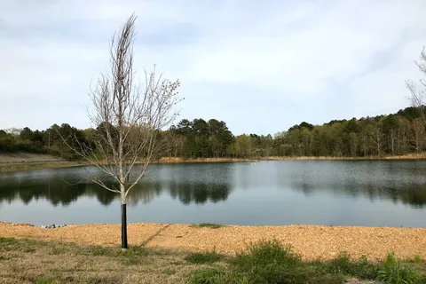 The Cove Lakeside RV Resort and Campground