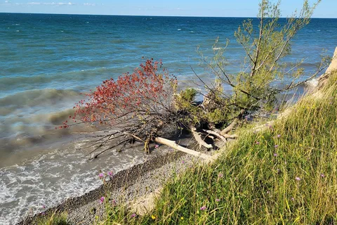 Four Mile Creek State Park