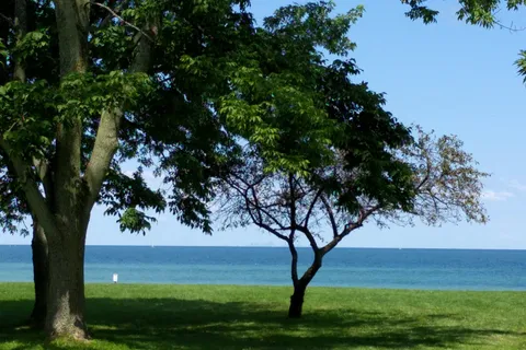 Four Mile Creek State Park